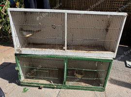 Canary breeding cage