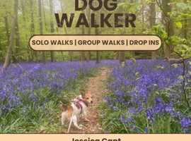 Need a trustworthy Dog Walker?