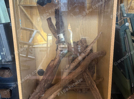 Arboreal vivarium