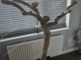Java tree