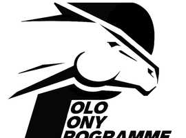 Professional Schooling, backing, training of horses