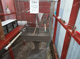 Bird.Cages