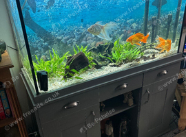 Fish tank with stand