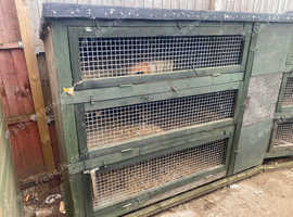 Ferret hutch made out marine ply