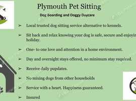 Plymouth Pet Sitting Dog boarding and day care