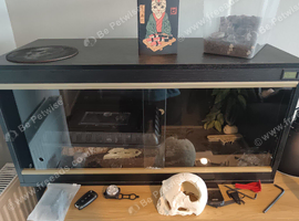 3ft vivarium