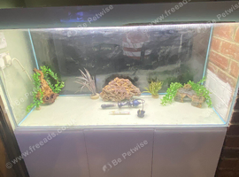 Large 4 foot aquarium and gloss cabinet
