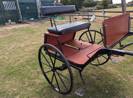 2 wheel exercise/pleasure carriage
