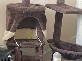 Tree n scratch posts