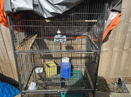 Bird cage