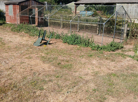 Chicken run