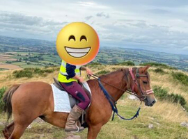 Section c mare