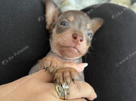 Beautiful little boy