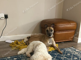 For rehoming due to relationship breakdown