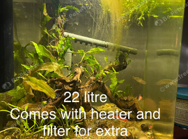 5 fish tanks and fish , trade or sale