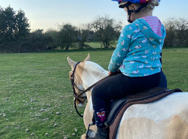 11hh 20 year old lead rein/companion