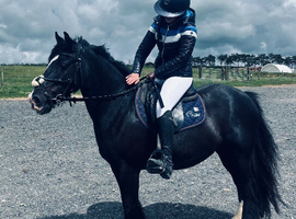 Around bomb proof sports cob