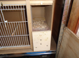 Bird cage, breeding cage, 30"x15x12 inches deep, dont let this get away from you. with spare poop trays.
