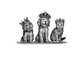 1 on 1 boarding. For dogs, cats & outdoor pets