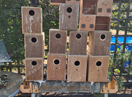 Nestboxs cockatiels redrumps bourkes budgies