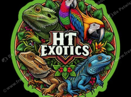 HT exotics are available for rescue