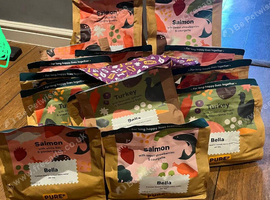 Pure Dog food