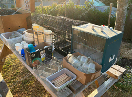 Fife and border show cages for sale