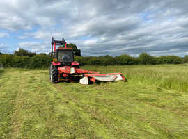 Timothy blend Seed Hay for Sale 2026 harvest