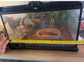 Frog enclosure