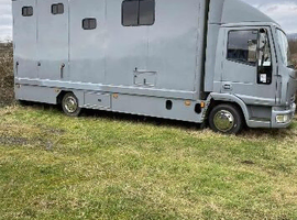 7.5 Iveco horse lorry for sale