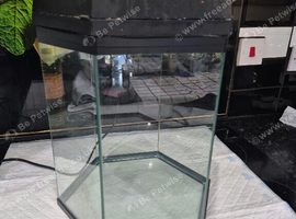 hexagon fish tank