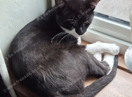 Black and white male