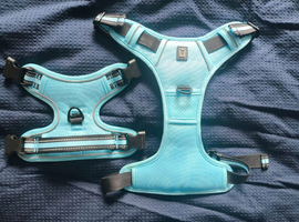 Blue Dog Harness
