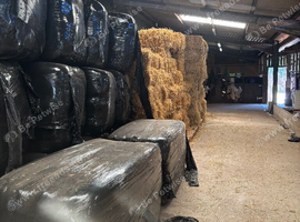 FOR SALE: High-Quality 2026 Forage & Bedding Bundle &ndash; Skilgate Area TA42