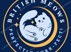 Litter Microchipping - Right in the Comfort of Your Home!