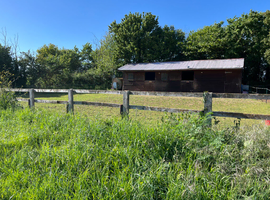 Yard for rent , 2 Stables ,tack room and grass keep , sole use in Somerton somerset
