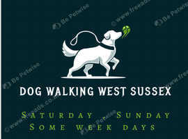 Dog walking West Sussex