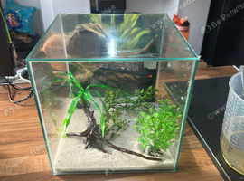 Ciano cube fish tank