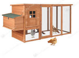 Large chicken coop