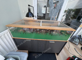 Tortoise 6 yrs comes with new set up