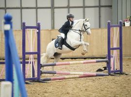 Project Pony