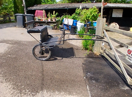 Pony cart/trap