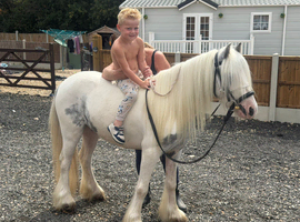 Peanuts lovely quiet lead rein pony