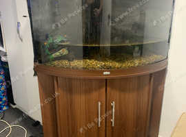 Juwel trigon 190l set up