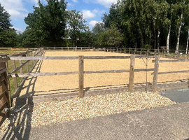 Loving Home waiting for bomb proof horse ideally 15.2 /16 hands for hacking only