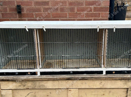 Triple Breeding cage