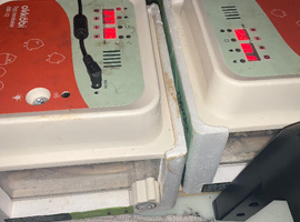 Incubators