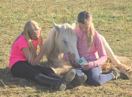 1yr old blue filly TGCA