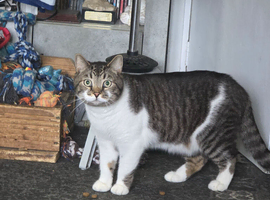 Ted needs a new home