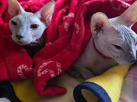 Mother and daughter